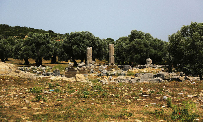 Храм Диониса (Теос) в Турции